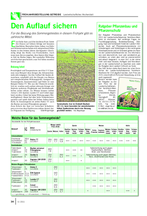 FRÜHJAHRSBESTELLUNG GETREIDE Landwirtschaftliches Wochenblatt Den Auflauf sichern Für die Beizung des Sommergetreides in diesem Frühjahr gibt es zahlreiche Mittel.