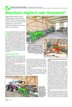 TECHNIK UND NEUE ENERGIE Landwirtschaftliches Wochenblatt Brennholz: Hightech oder Handarbeit?