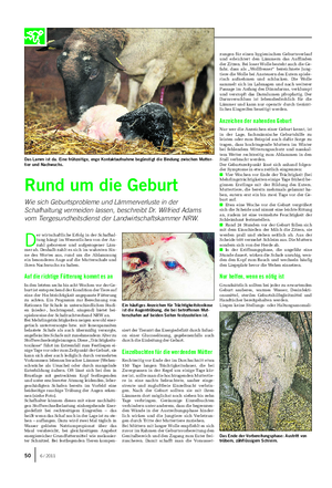 TIER Landwirtschaftliches Wochenblatt D er wirtschaftliche Erfolg in der Schafhal- tung hängt im Wesentlichen von der An- zahl geborener und aufgezogener Läm- mer ab.