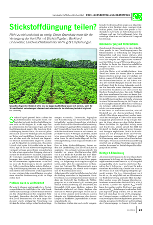 Landwirtschaftliches Wochenblatt FRÜHJAHRSBESTELLUNG KARTOFFELN 238 / 2011 Stickstoffdüngung teilen?