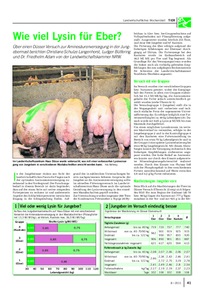 Landwirtschaftliches Wochenblatt TIER Wie viel Lysin für Eber?