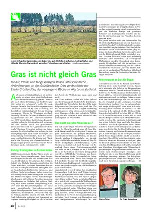 PFLANZE Landwirtschaftliches Wochenblatt A uf unseren Grünlandflächen ist mittler- weile zu sehen, dass viele Maßnahmen zur Narbenverbesserung greifen.
