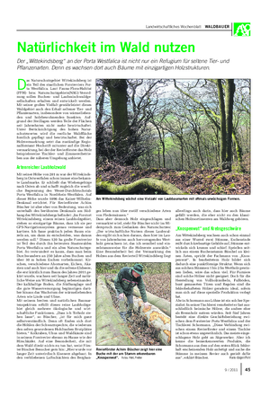 Landwirtschaftliches Wochenblatt WALDBAUER Natürlichkeit im Wald nutzen Der „Wittekindsberg“ an der Porta Westfalica ist nicht nur ein Refugium für seltene Tier- und Pflanzenarten.