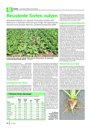 RÜBEN Landwirtschaftliches Wochenblatt Resistente Sorten nutzen Nematodenresistente und -tolerante Zuckerrüben erzielten unter Befall auch im Extremjahr 2010 sehr gute Erträge.