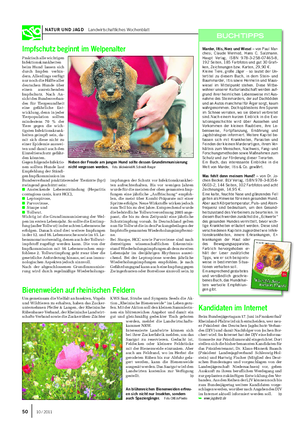 NATUR UND JAGD Landwirtschaftliches Wochenblatt Impfschutz beginnt im Welpenalter Praktisch alle wichtigen Infektionskrankheiten beim Hund lassen sich durch Impfen verhin- dern.