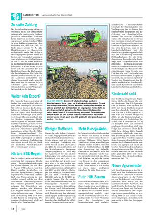 NACHRICHTEN Landwirtschaftliches Wochenblatt BILD DER WOCHE: Die vorerst letzten Frosttage wurden in Wendlinghausen, Kreis Lippe, zur Pastinaken-Ernte genutzt.