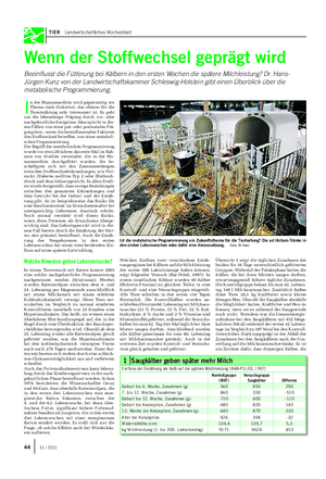 TIER Landwirtschaftliches Wochenblatt Wenn der Stoffwechsel geprägt wird Beeinflusst die Fütterung bei Kälbern in den ersten Wochen die spätere Milchleistung?