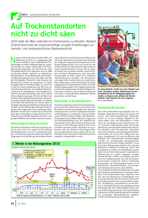 MAIS Landwirtschaftliches Wochenblatt Auf Trockenstandorten nicht zu dicht säen 2010 hatte der Mais verbreitet mit Trockenstress zu kämpfen.