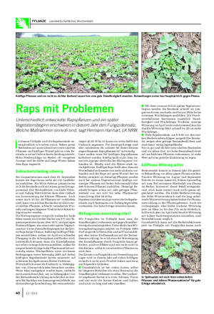 PFLANZE Landwirtschaftliches Wochenblatt I n diesem Frühjahr sind die Rapsbestände un- terschiedlich wie selten zuvor.