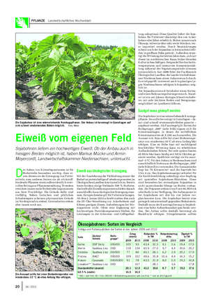 PFLANZE Landwirtschaftliches Wochenblatt D er Anbau von Körnerleguminosen ist für Biobetriebe besonders wichtig.