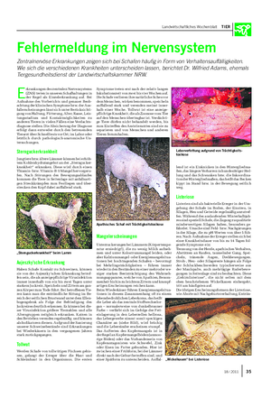 Landwirtschaftliches Wochenblatt TIER E rkrankungen des zentralen Nervensystems (ZNS) treten in unseren Schafhaltungen in der Regel als Einzelerkrankung auf.