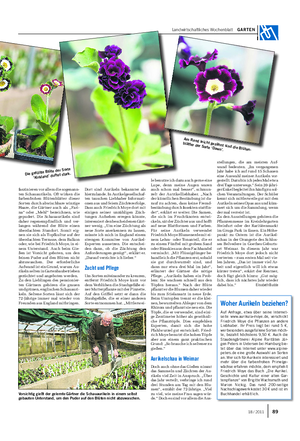 Landwirtschaftliches Wochenblatt GARTEN faszinieren vor allem die sogenann- ten Schauaurikeln.