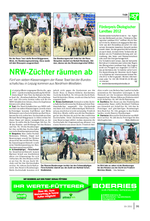 TIER NRW-Züchter räumen ab Fünf von sieben Klassensiegern der Rasse Texel bei der Bundes- schafschau in Leipzig kommen aus Nordrhein-Westfalen.