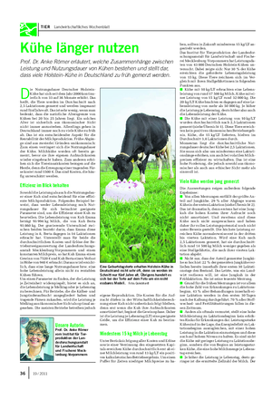 TIER Landwirtschaftliches Wochenblatt Kühe länger nutzen Prof.