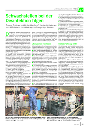 Landwirtschaftliches Wochenblatt TIER Schwachstellen bei der Desinfektion tilgen Tipps zur Reinigung und Desinfektion ihres Schweinestalls bekamen rund 40 Teilnehmer beim Workshop des Erzeugerrings Westfalen.