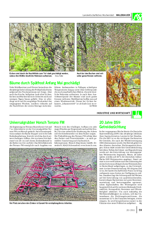 Landwirtschaftliches Wochenblatt WALDBAUER Viele Waldbesitzer und Förster betrachten die diesjährige Entwicklung der Frühjahrskulturen aufgrund des Trockenstresses mit Sorge.