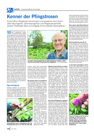 GARTEN Landwirtschaftliches Wochenblatt Kenner der Pfingstrosen Zurzeit öffnen Pfingstrosen ihre Knospen und verströmen ihren Duft in vielen Bauerngärten.