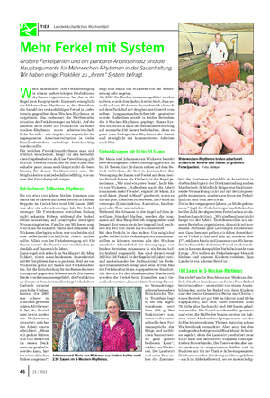 TIER Landwirtschaftliches Wochenblatt Mehr Ferkel mit System Größere Ferkelpartien und ein planbarer Arbeitseinsatz sind die Hauptargumente für Mehrwochen-Rhythmen in der Sauenhaltung.