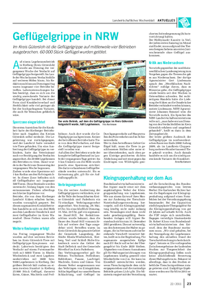 Landwirtschaftliches Wochenblatt AKTUELLES Geflügelgrippe in NRW Im Kreis Gütersloh ist die Geflügelgrippe auf mittlerweile vier Betrieben ausgebrochen.