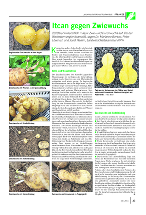 Landwirtschaftliches Wochenblatt PFLANZE Itcan gegen Zwiewuchs 2010 trat in Kartoffeln massiv Zwie- und Durchwuchs auf.