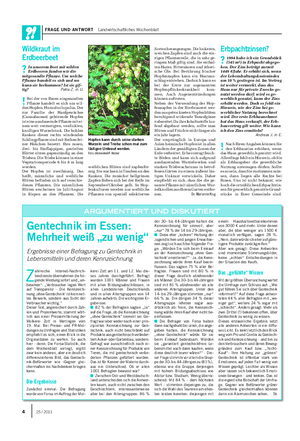 FRAGE UND ANTWORT Landwirtschaftliches Wochenblatt Wildkraut im Erdbeerbeet ?