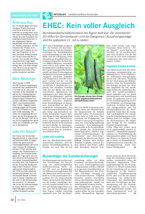AKTUELLES Landwirtschaftliches Wochenblatt Ambrosia-App Um im Kampf gegen die hoch- allergene Pflanze Ambrosia eine breite Mithilfe der Ver- braucher zu ermöglichen, setzt das Land Brandenburg auf das Handy.