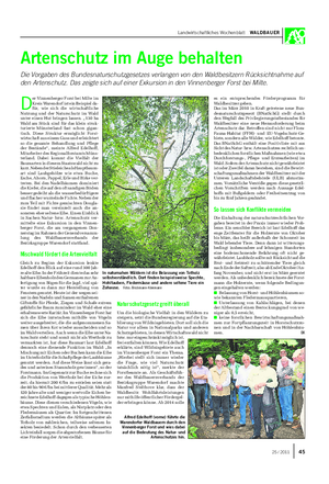 Landwirtschaftliches Wochenblatt WALDBAUER Artenschutz im Auge behalten Die Vorgaben des Bundesnaturschutzgesetzes verlangen von den Waldbesitzern Rücksichtnahme auf den Artenschutz.