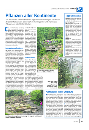 Landwirtschaftliches Wochenblatt GARTEN Pflanzen aller Kontinente Der Botanische Garten Osnabrück liegt in einem ehemaligen Steinbruch.
