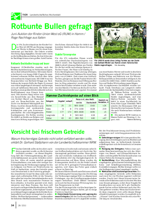 TIER Landwirtschaftliches Wochenblatt Rotbunte Bullen gefragt Juni-Auktion der Rinder-Union West eG (RUW) in Hamm / Rege Nachfrage aus Italien D ie 176.
