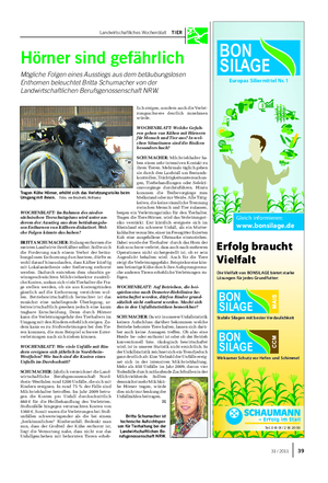 Landwirtschaftliches Wochenblatt TIER Hörner sind gefährlich Mögliche Folgen eines Ausstiegs aus dem betäubungslosen Enthornen beleuchtet Britta Schumacher von der Landwirtschaftlichen Berufsgenossenschaft NRW.