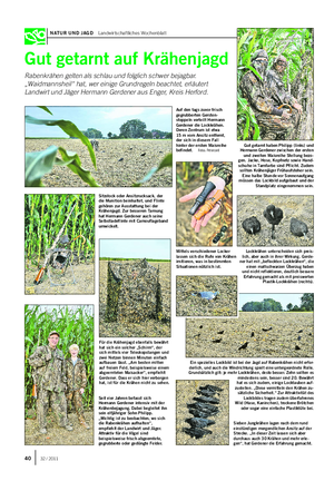 NATUR UND JAGD Landwirtschaftliches Wochenblatt Gut getarnt auf Krähenjagd Rabenkrähen gelten als schlau und folglich schwer bejagbar.
