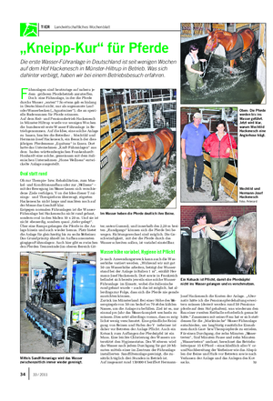 TIER Landwirtschaftliches Wochenblatt „Kneipp-Kur“ für Pferde Die erste Wasser-Führanlage in Deutschland ist seit wenigen Wochen auf dem Hof Hackenesch in Münster-Hiltrup in Betrieb.