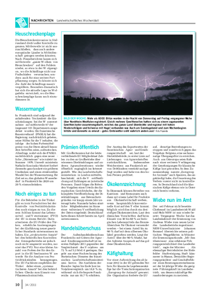 NACHRICHTEN Landwirtschaftliches Wochenblatt BILD DER WOCHE: Mehr als 6000 Blitze wurden in der Nacht von Donnerstag auf Freitag vergangener Woche über Nordrhein-Westfalen registriert.