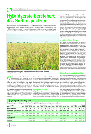 HERBSTBESTELLUNG Landwirtschaftliches Wochenblatt Hybridgerste bereichert das Sortenspektrum Seit einigen Jahren werden auch bei Wintergerste Hybridsorten angeboten.