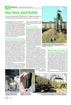 WALDBAUER Landwirtschaftliches Wochenblatt Aus Holz wird Kohle Das bundesweit letzte Grillkohlewerk ProFagus verarbeitet im niedersächsischen Bodenfelde Buchenholz zu Holzkohle.