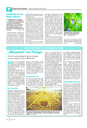 FRAGE UND ANTWORT Landwirtschaftliches Wochenblatt Gundelrebe von der Weide entfernen ?