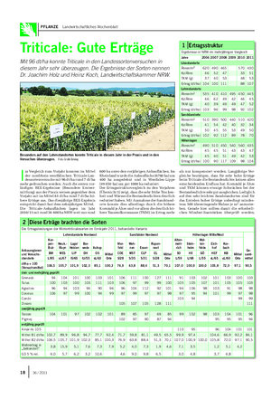 PFLANZE Landwirtschaftliches Wochenblatt Triticale: Gute Erträge Mit 96 dt/ha konnte Triticale in den Landessortenversuchen in diesem Jahr sehr überzeugen.