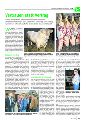 Landwirtschaftliches Wochenblatt TIER Vertrauen statt Vertrag In den Niederlanden arbeiten Bullenmäster mit einem Rindfleischvermarkter „fest“ zusammen – allerdings ohne Vertrag.