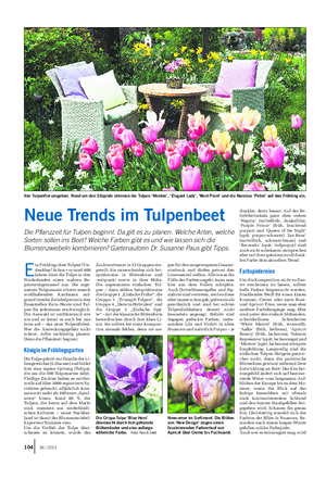 GARTEN Landwirtschaftliches Wochenblatt E in Frühling ohne Tulpen?