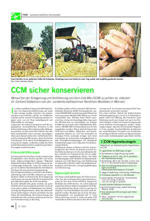 TIER Landwirtschaftliches Wochenblatt CCM sicher konservieren Worauf bei der Einlagerung und Verfütterung von Corn-Cob-Mix (CCM) zu achten ist, erläutert Dr.