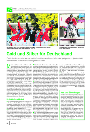 TIER Landwirtschaftliches Wochenblatt Gold und Silber für Deutschland Erst holte die deutsche Mannschaft bei den Europameisterschaften der Springreiter in Spanien Gold, dann sicherte sich Carsten-Otto Nagel noch Silber.