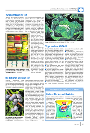 Landwirtschaftliches Wochenblatt HAUSHALT Deftige Weißkohlgerichte sind in der Winterzeit besonders beliebt.