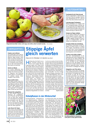GARTEN Landwirtschaftliches Wochenblatt H äufig sehen die Äpfel von au- ßen zunächst gesund aus.