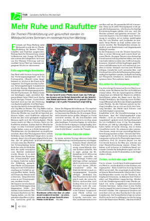 TIER Landwirtschaftliches Wochenblatt Mehr Ruhe und Raufutter Die Themen Pferdefütterung und -gesundheit standen im Mittelpunkt eines Seminars im niedersächsischen Warberg.