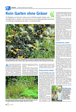 GARTEN Landwirtschaftliches Wochenblatt A ls „Pflanzen für die siebte Jah- reszeit“ bezeichnete der be- rühmte Staudenzüchter Karl Foerster aus Bornim bei Potsdam die Gräser.