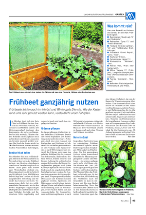 Landwirtschaftliches Wochenblatt GARTEN I m Oktober lässt sich der freie Platz im Frühbeet für eine Aus- saat mit Feldsalat, Portulak, Ra- dieschen und Möhren nutzen.