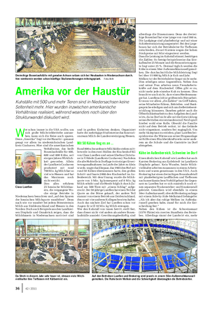 TIER Landwirtschaftliches Wochenblatt W er schon immer in die USA wollte, um sich große Milchviehbetriebe anzuse- hen, kann sich die Reise auch sparen.