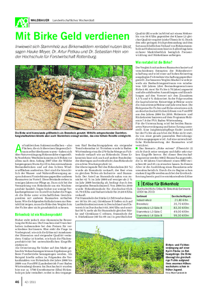 WALDBAUER Landwirtschaftliches Wochenblatt A uf zahlreichen Sukzessionsflächen – also Flächen, die sich über einen längeren Zeit- raum selbst überlassen waren – haben sich über Naturverjüngung Birkenwälder eingestellt.