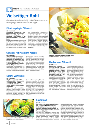 REZEPTE Landwirtschaftliches Wochenblatt Vielseitiger Kohl Chinakohl lässt sich vielseitig in der Küche einsetzen – ob eingelegt, überbacken oder als Suppe.