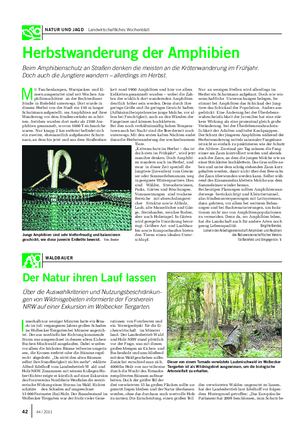 NATUR UND JAGD Landwirtschaftliches Wochenblatt I nnerhalb nur weniger Minuten hatte ein Torna- do im Juli vergangenen Jahres großen Schaden im Wolbecker Tiergarten bei Münster angerich- tet.